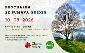 procházka šumavskou divočinou
